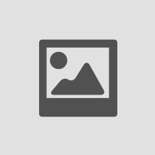images/shoplogoimages/maior-black-green-copy.png